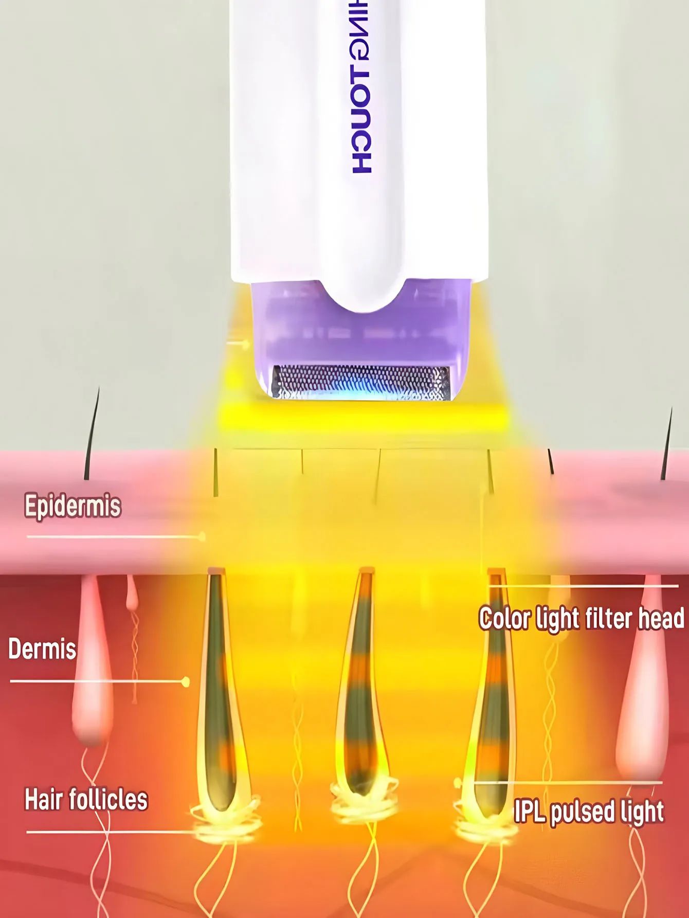 Professional Electric Hair Removal Shaver for Women - Full Body, Face, Bikini, Legs, Hands - Gentle & Painless Epilator Device thumbnail 5