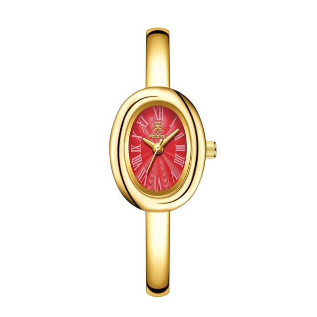 YaLaLuSi Women's Oval Dial Bracelet Watch - Water-Resistant Quartz Movement, Retro Roman Numerals, Alloy Band, Elegant & Casual Style, Perfect Gift for Her showcase 9