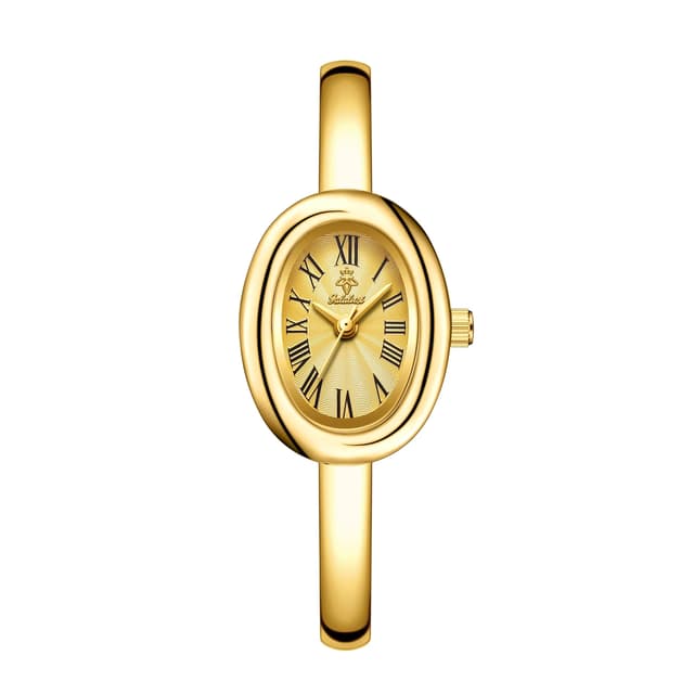 YaLaLuSi Women's Oval Dial Bracelet Watch - Water-Resistant Quartz Movement, Retro Roman Numerals, Alloy Band, Elegant & Casual Style, Perfect Gift for Her showcase 7