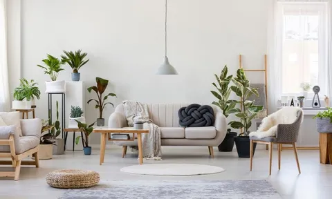 Furniture & Decor