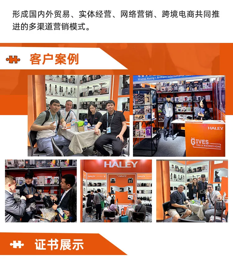 Haley High Power Electric Egg Beater Stand Mixer Household Automatic Cream Whisk Baking Mixer showcase 7