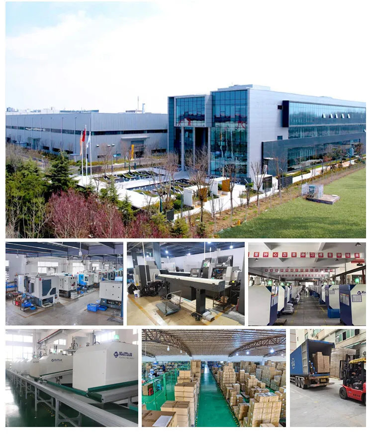 Haley High Power Electric Egg Beater Stand Mixer Household Automatic Cream Whisk Baking Mixer showcase 5