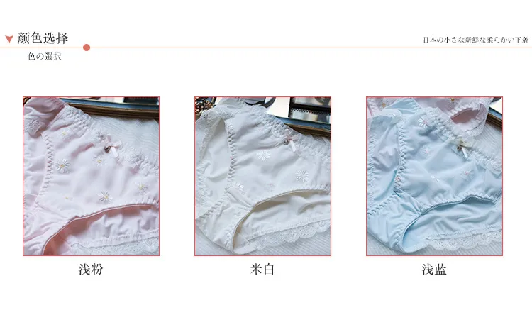 Women's Sexy Embroidered Floral Panties - Mid-Waist Silk Briefs Plus Size Lingerie - Cute Japanese Style Underwear for Ladies showcase 7
