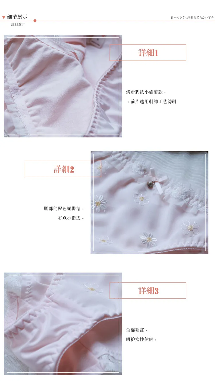 Women's Sexy Embroidered Floral Panties - Mid-Waist Silk Briefs Plus Size Lingerie - Cute Japanese Style Underwear for Ladies showcase 11