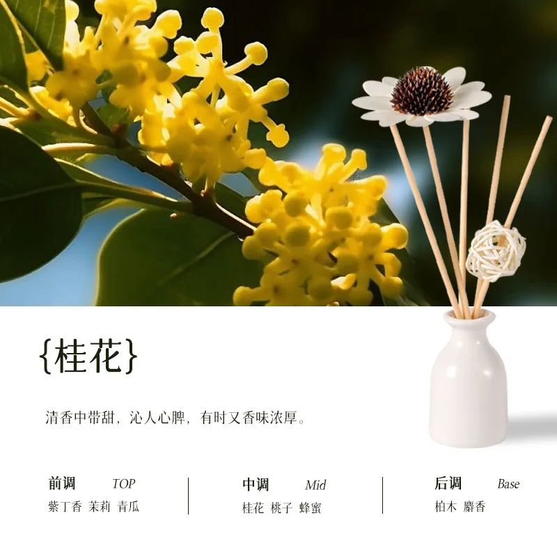 Lavender Essential Oil Diffuser Set - Fireless Aromatherapy with Rattan Reeds & Ceramic Holder - Wholesale Customizable Perfume Diffuser for Home Fragrance thumbnail 6