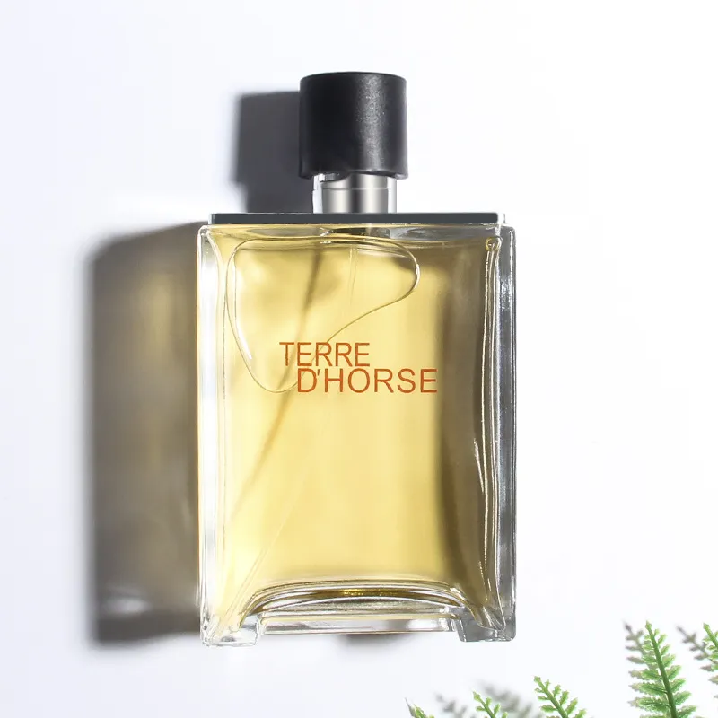 Men's Earthy Woody Perfume - Xiaocheng Yixiang Terre Earth After Rain Fragrance, Long Lasting Scent for Men, Perfect Gift thumbnail 3
