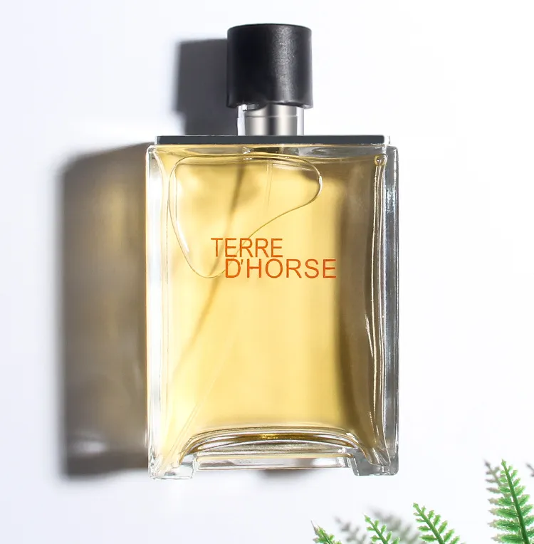 Men's Earthy Woody Perfume - Xiaocheng Yixiang Terre Earth After Rain Fragrance, Long Lasting Scent for Men, Perfect Gift showcase 5