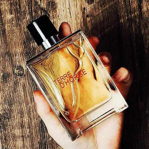 Men's Earthy Woody Perfume - Xiaocheng Yixiang Terre Earth After Rain Fragrance, Long Lasting Scent for Men, Perfect Gift