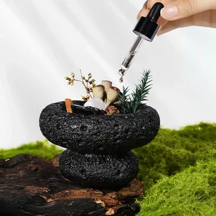 Aroma Stone Diffuser Set - Fireless Aromatherapy Essential Oil Diffuser for Home, Bedroom, Office - Sparkling Ornament with Dried Flowers - Unique Gift showcase 3
