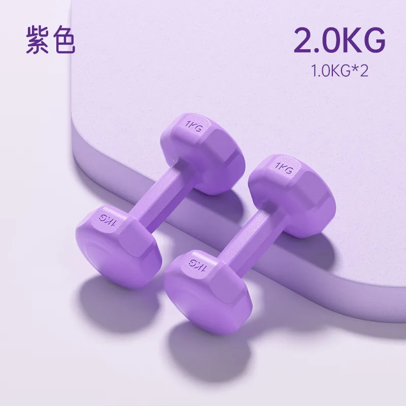Dumbbell Set for Women, Men & Children - Kettlebell, Arm Muscle Training, Yoga, Fitness, Household Equipment - Small Dumbbells Combination thumbnail 10