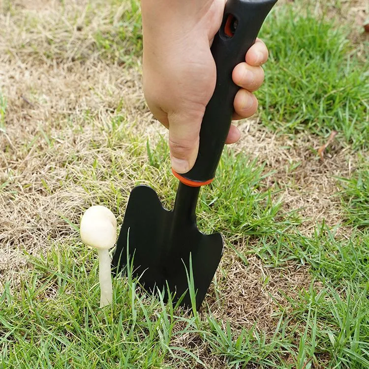 Gardening Shovel Set - Large Planting Shovel, Soil Tool, Household Vegetable & Succulent Planting - Shovel, Hoe & Soil Turning Set for Gardeners thumbnail 4