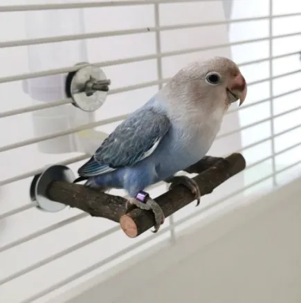 Parrot Perch Stand Wooden Bird Stand Pole - Natural Wood Pet Bird Bite Chew Toy for Parrot Cage - Bird Supplies for Budgies, Cockatiels, Conures thumbnail 5
