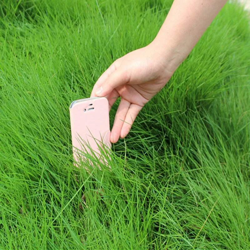 Four-Season Green Grass Seeds Mix - Bluegrass, Bermudagrass, Rye, Tall Fescue - Lawn, Garden, Slope Protection - Fast Growing, Durable thumbnail 4