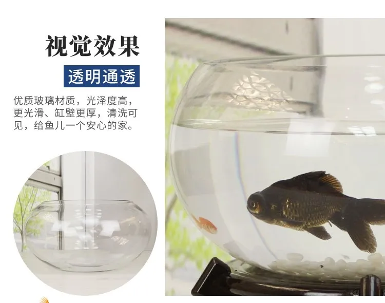 Mini Fish Tank Transparent Glass Office Living Room Creative Hydroponic Drum Tank Round Turtle Tank Desktop Aquarium for Small Fish showcase 7