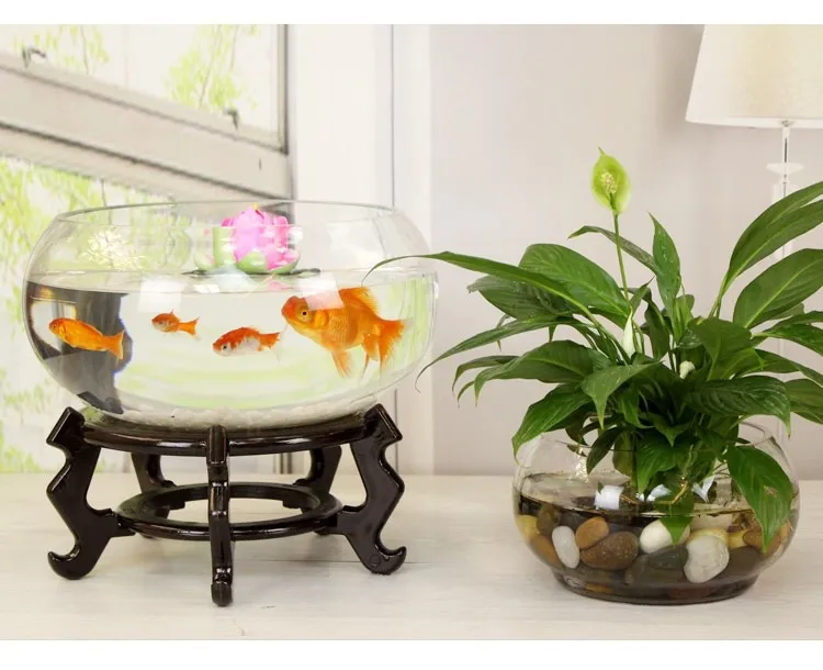 Mini Fish Tank Transparent Glass Office Living Room Creative Hydroponic Drum Tank Round Turtle Tank Desktop Aquarium for Small Fish showcase 9
