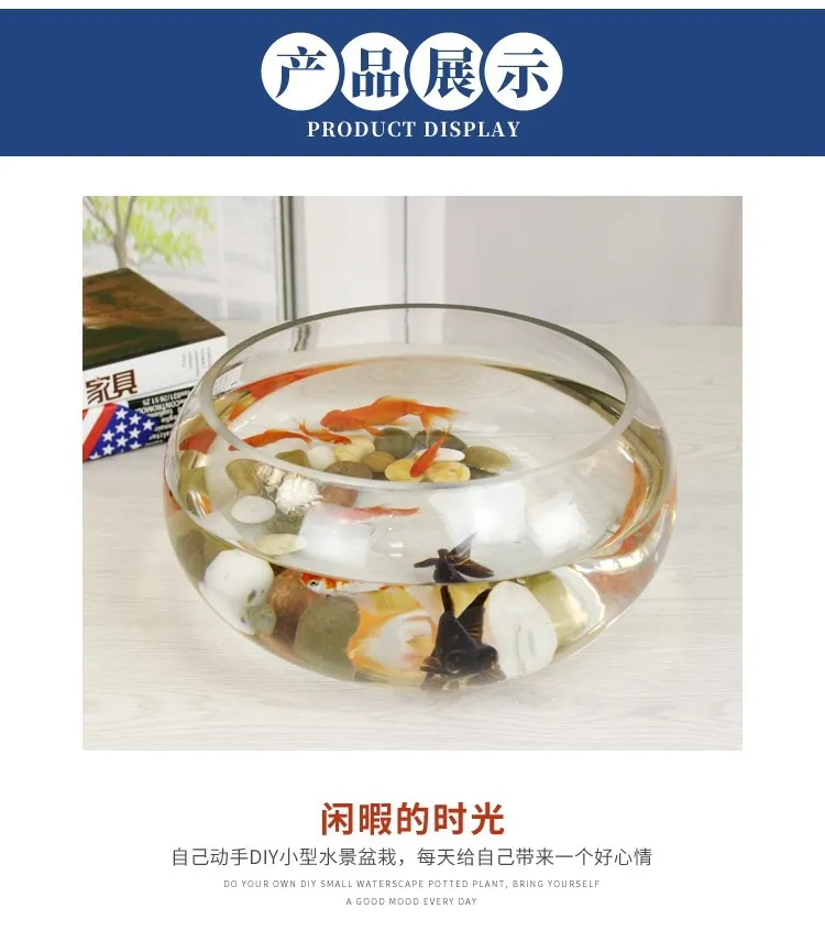 Mini Fish Tank Transparent Glass Office Living Room Creative Hydroponic Drum Tank Round Turtle Tank Desktop Aquarium for Small Fish showcase 5