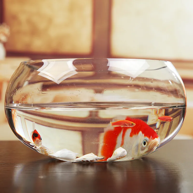 Mini Fish Tank Transparent Glass Office Living Room Creative Hydroponic Drum Tank Round Turtle Tank Desktop Aquarium for Small Fish thumbnail 3