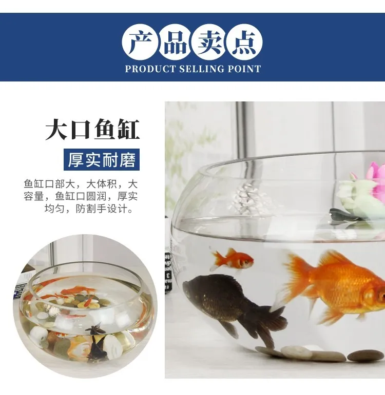 Mini Fish Tank Transparent Glass Office Living Room Creative Hydroponic Drum Tank Round Turtle Tank Desktop Aquarium for Small Fish showcase 3