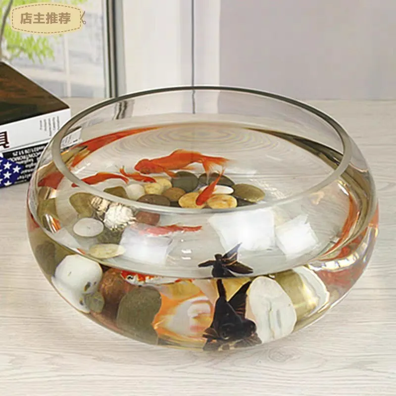 Mini Fish Tank Transparent Glass Office Living Room Creative Hydroponic Drum Tank Round Turtle Tank Desktop Aquarium for Small Fish thumbnail 4