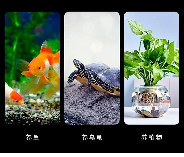 Small Glass Fish Tank for Office Desktop - Transparent Turtle Tank, Round Goldfish Bowl, Living Room Decoration, Thickened Glass, Landscape Design showcase 8