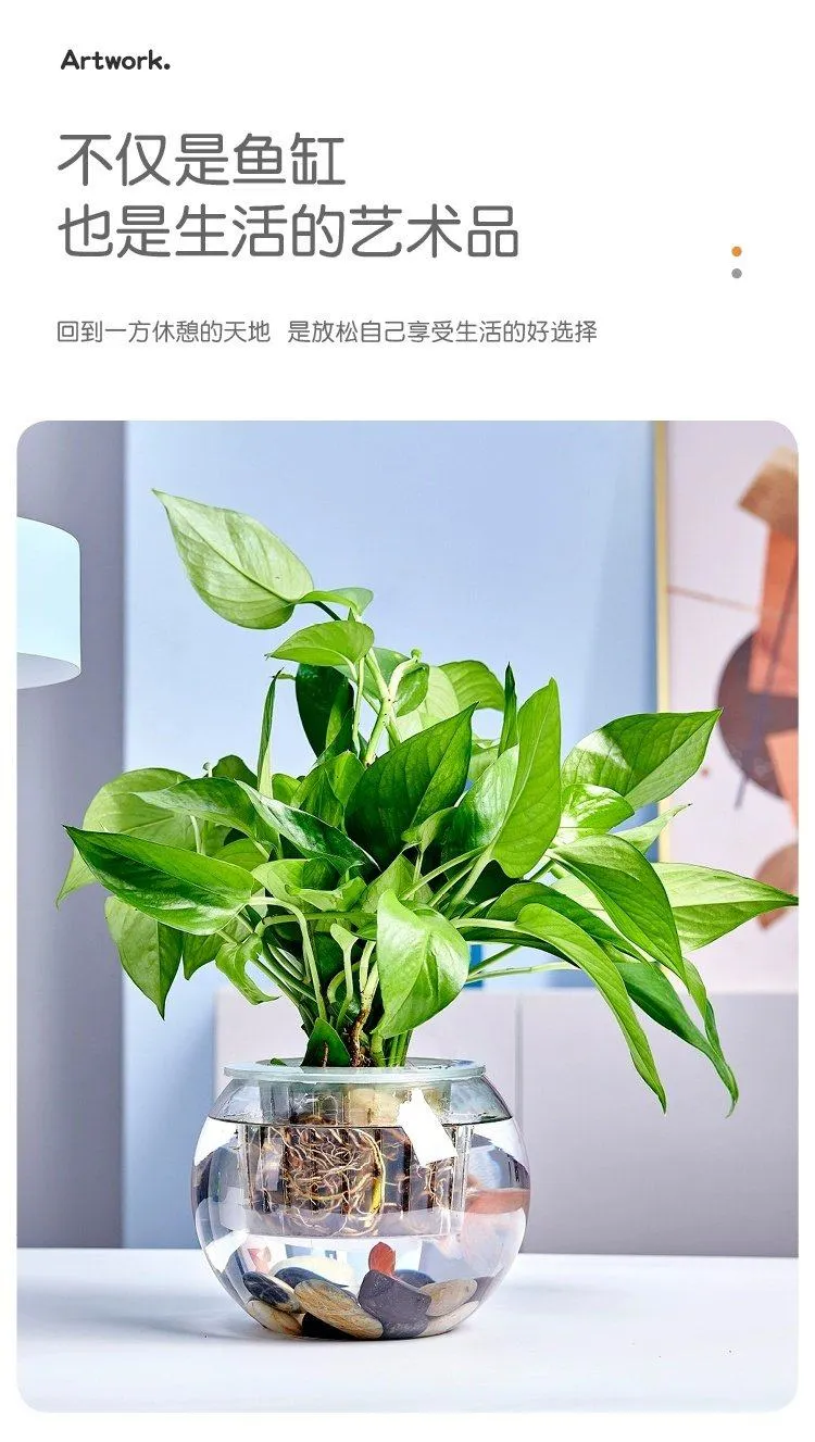 Small Glass Fish Tank for Office Desktop - Transparent Turtle Tank, Round Goldfish Bowl, Living Room Decoration, Thickened Glass, Landscape Design showcase 5