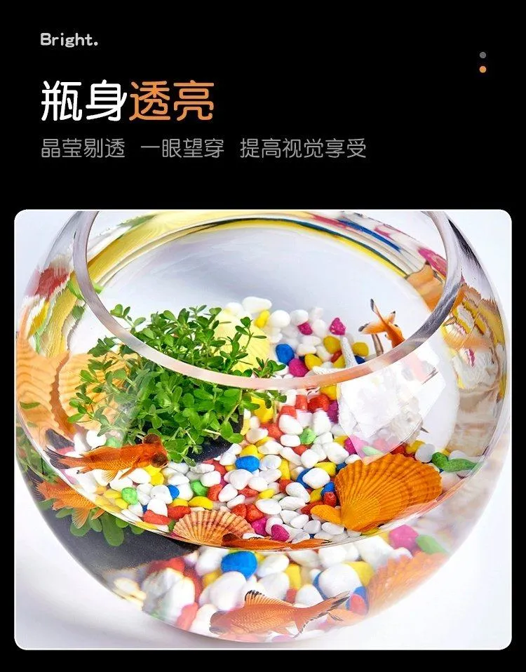 Small Glass Fish Tank for Office Desktop - Transparent Turtle Tank, Round Goldfish Bowl, Living Room Decoration, Thickened Glass, Landscape Design showcase 12