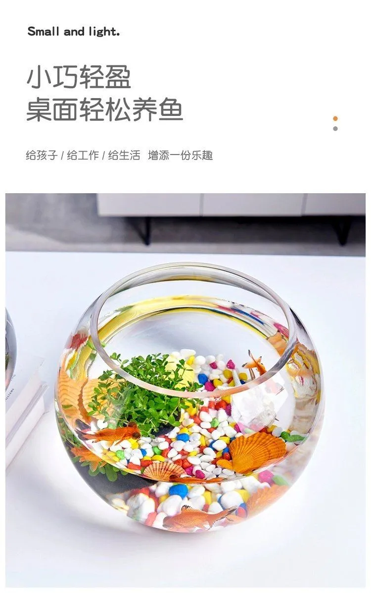 Small Glass Fish Tank for Office Desktop - Transparent Turtle Tank, Round Goldfish Bowl, Living Room Decoration, Thickened Glass, Landscape Design showcase 3