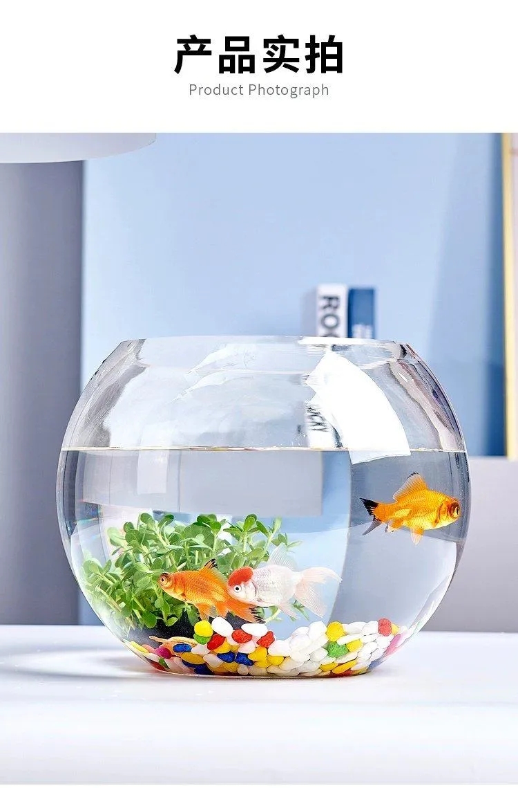 Small Glass Fish Tank for Office Desktop - Transparent Turtle Tank, Round Goldfish Bowl, Living Room Decoration, Thickened Glass, Landscape Design showcase 14