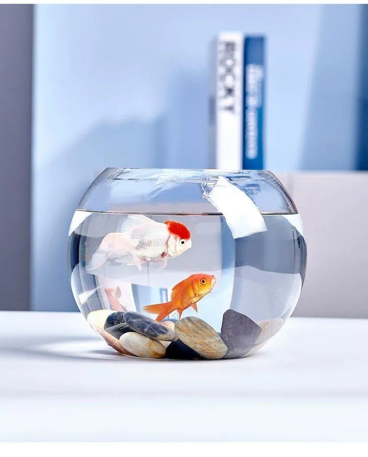 Small Glass Fish Tank for Office Desktop - Transparent Turtle Tank, Round Goldfish Bowl, Living Room Decoration, Thickened Glass, Landscape Design showcase 16