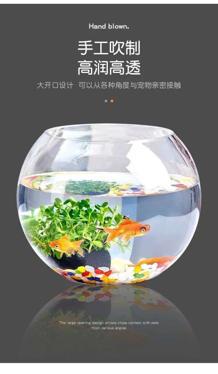 Small Glass Fish Tank for Office Desktop - Transparent Turtle Tank, Round Goldfish Bowl, Living Room Decoration, Thickened Glass, Landscape Design showcase 4