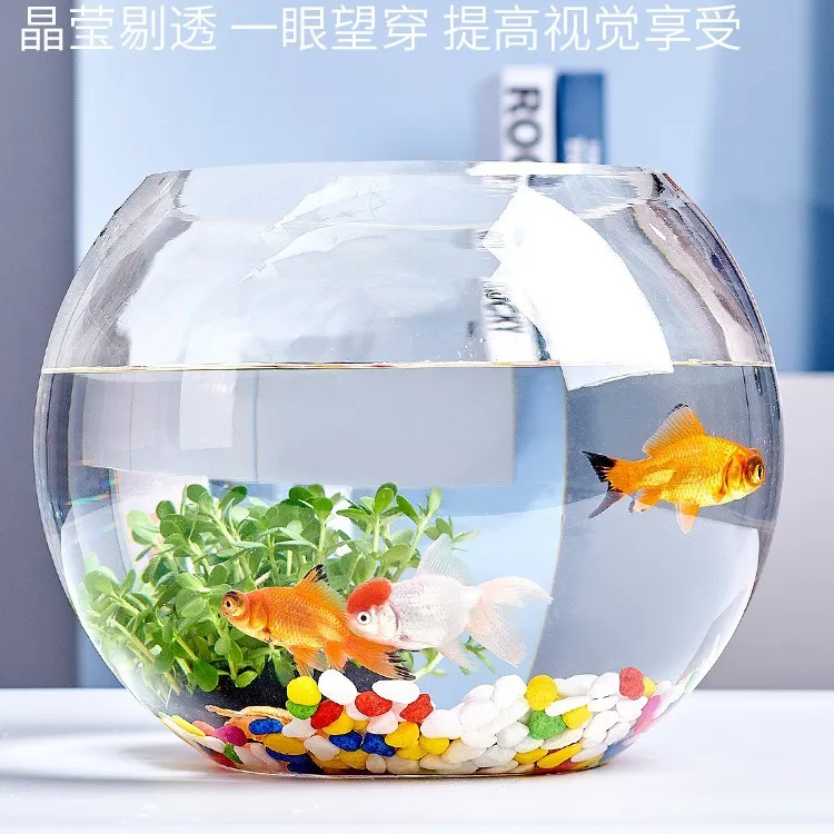 Small Glass Fish Tank for Office Desktop - Transparent Turtle Tank, Round Goldfish Bowl, Living Room Decoration, Thickened Glass, Landscape Design thumbnail 2