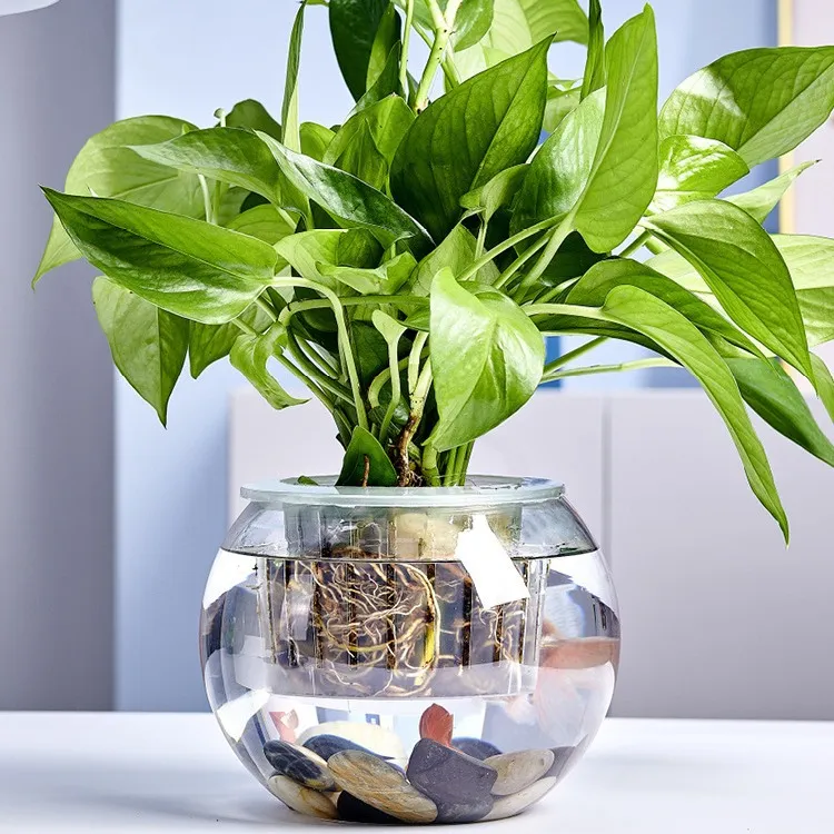 Small Glass Fish Tank for Office Desktop - Transparent Turtle Tank, Round Goldfish Bowl, Living Room Decoration, Thickened Glass, Landscape Design thumbnail 4
