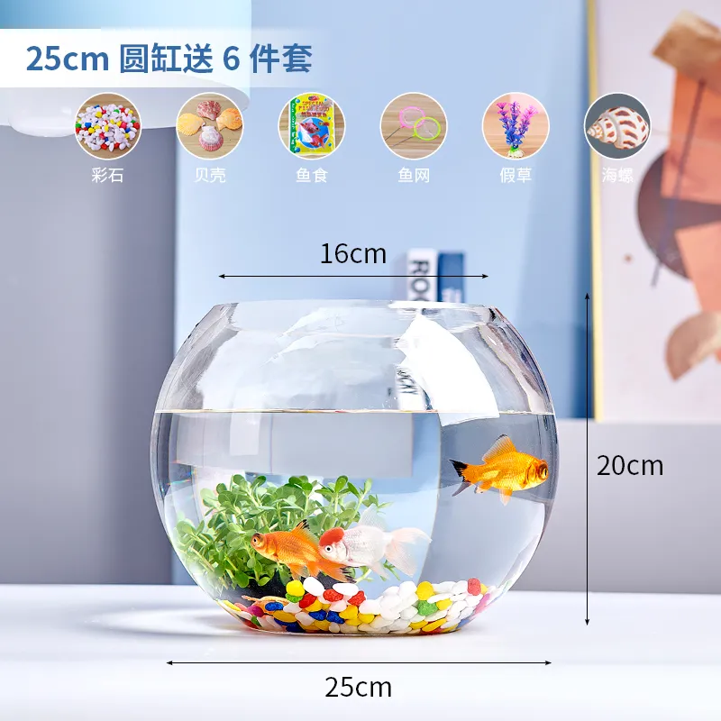Small Glass Fish Tank for Office Desktop - Transparent Turtle Tank, Round Goldfish Bowl, Living Room Decoration, Thickened Glass, Landscape Design thumbnail 8