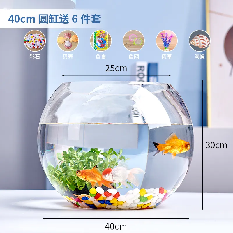 Small Glass Fish Tank for Office Desktop - Transparent Turtle Tank, Round Goldfish Bowl, Living Room Decoration, Thickened Glass, Landscape Design thumbnail 9