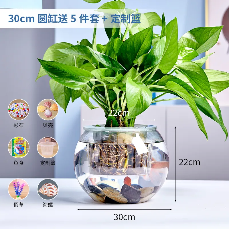 Small Glass Fish Tank for Office Desktop - Transparent Turtle Tank, Round Goldfish Bowl, Living Room Decoration, Thickened Glass, Landscape Design thumbnail 6