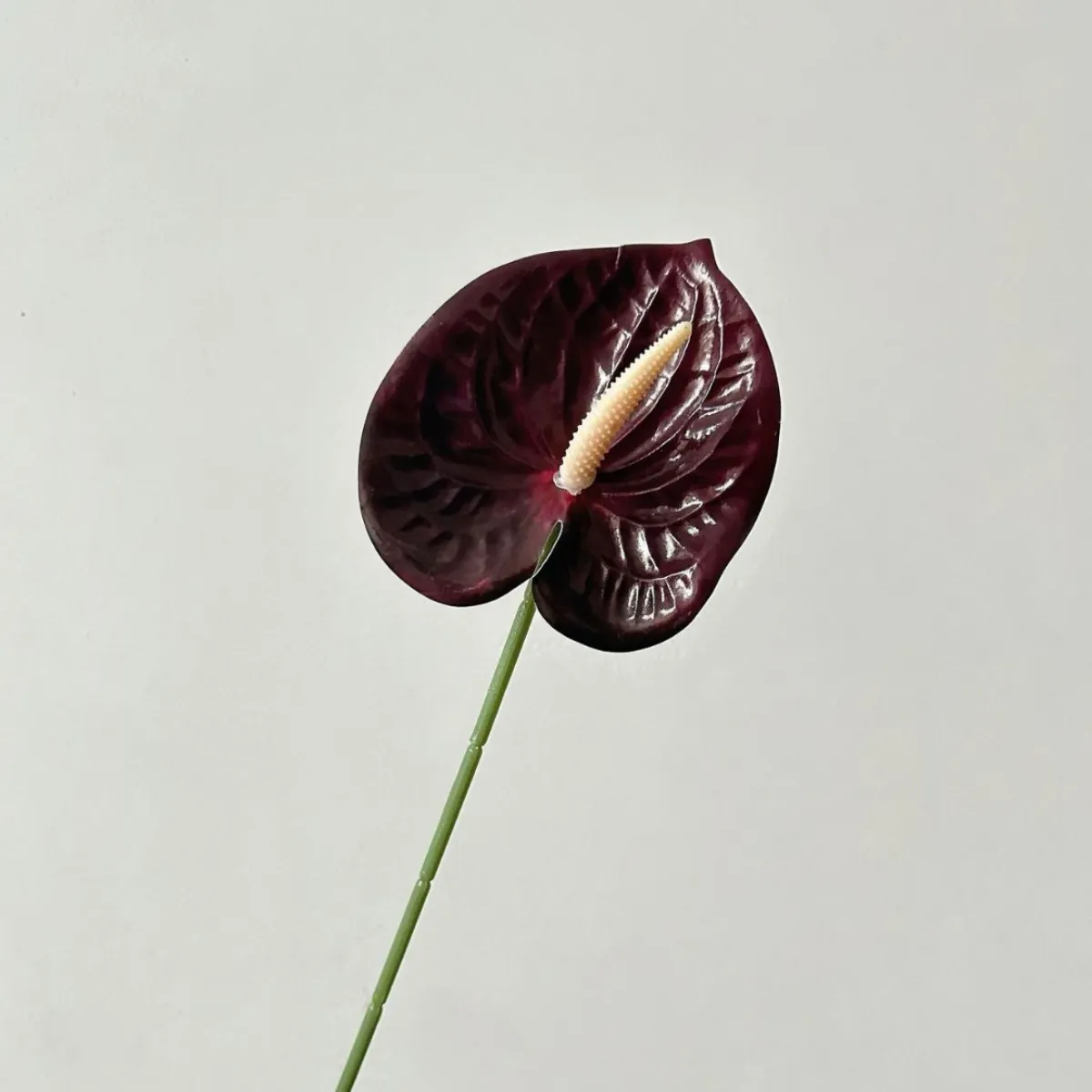 Black Red