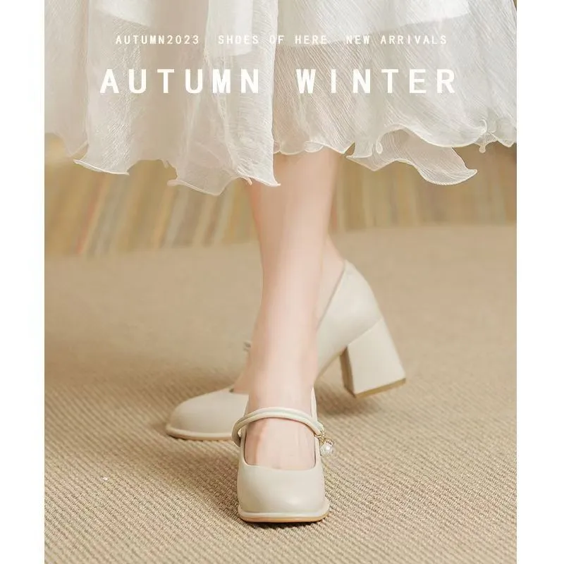 Women's Mary Jane Shoes 2024 Spring Autumn Fashion Chunky Heel Pumps Versatile French Style Elegant High Heels for Skirts showcase 1