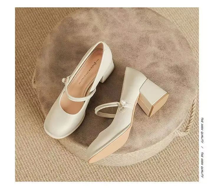 Women's Mary Jane Shoes 2024 Spring Autumn Fashion Chunky Heel Pumps Versatile French Style Elegant High Heels for Skirts showcase 10