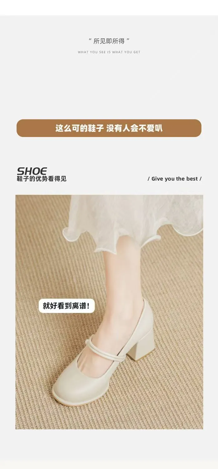Women's Mary Jane Shoes 2024 Spring Autumn Fashion Chunky Heel Pumps Versatile French Style Elegant High Heels for Skirts showcase 8