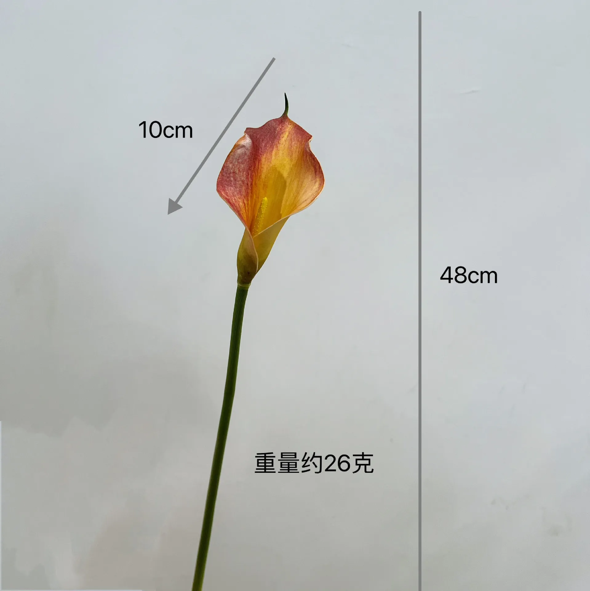 Trumpet - Orange