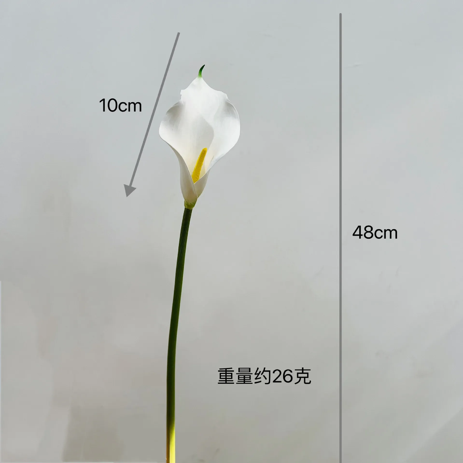 Trumpet - White