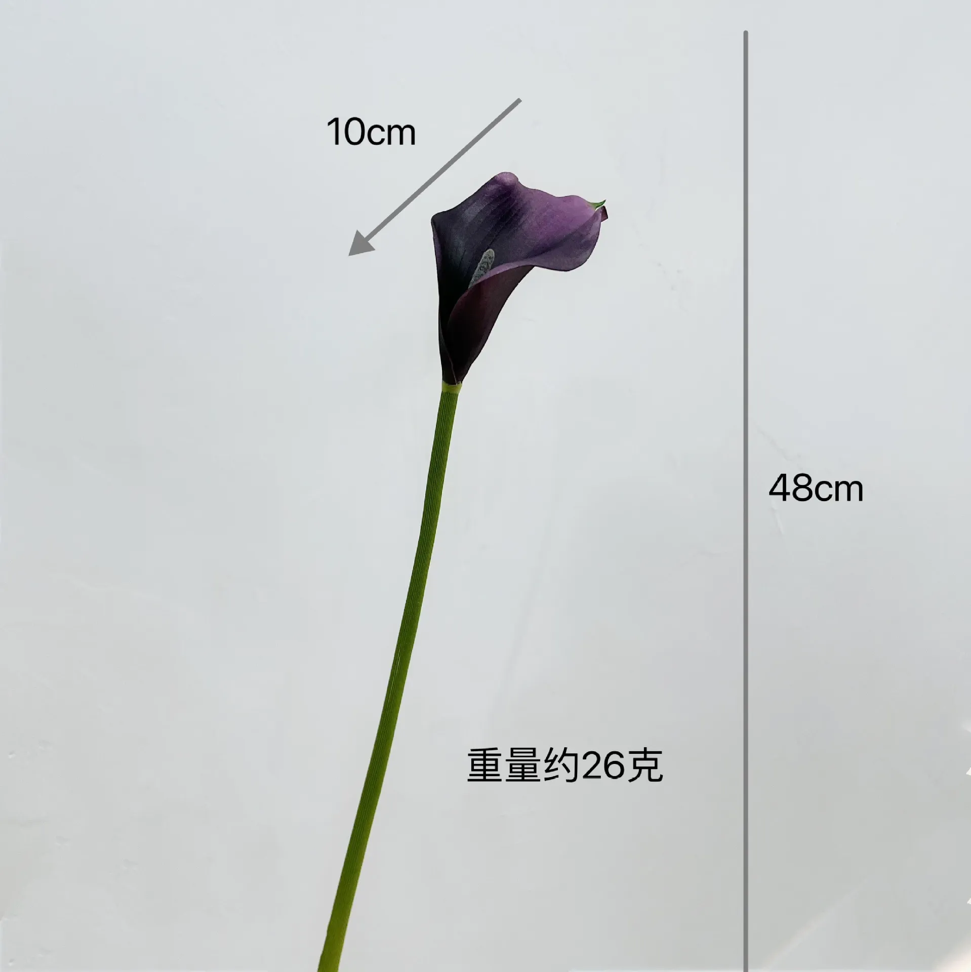Trumpet - Purple