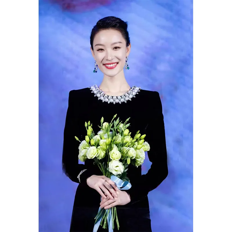Elegant Velvet Evening Dress for Women, Long Sleeve Formal Gown, Party Banquet Maxi Dress, Ladies' Fashion thumbnail 4