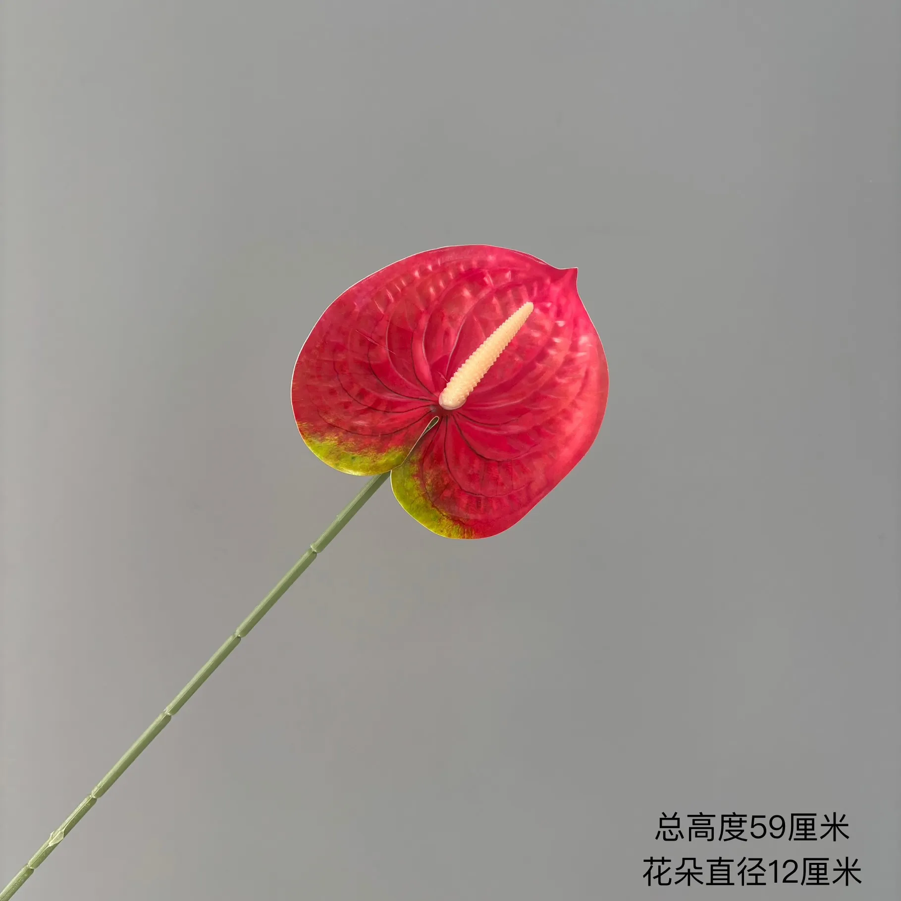 Rose Red