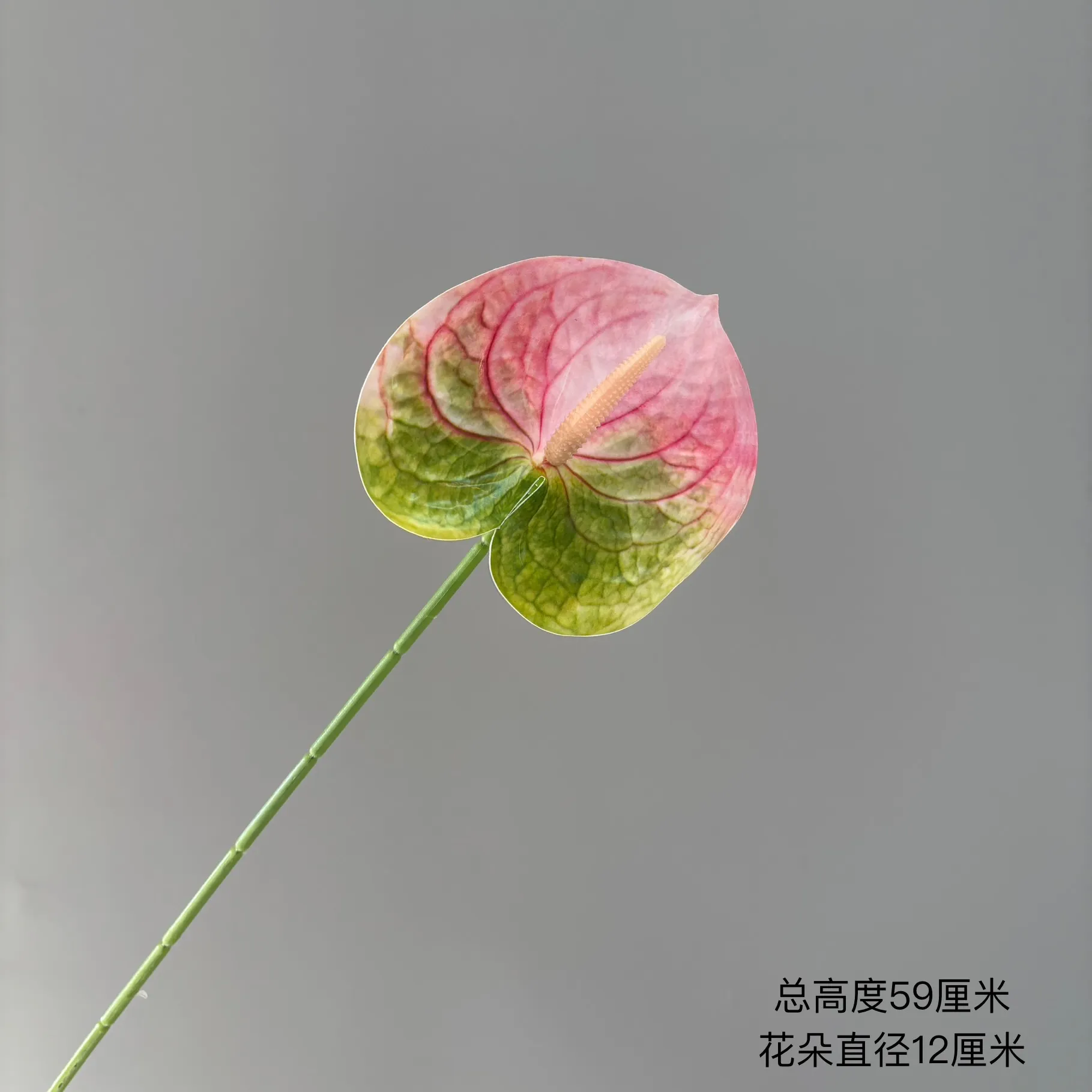 Pink/Green