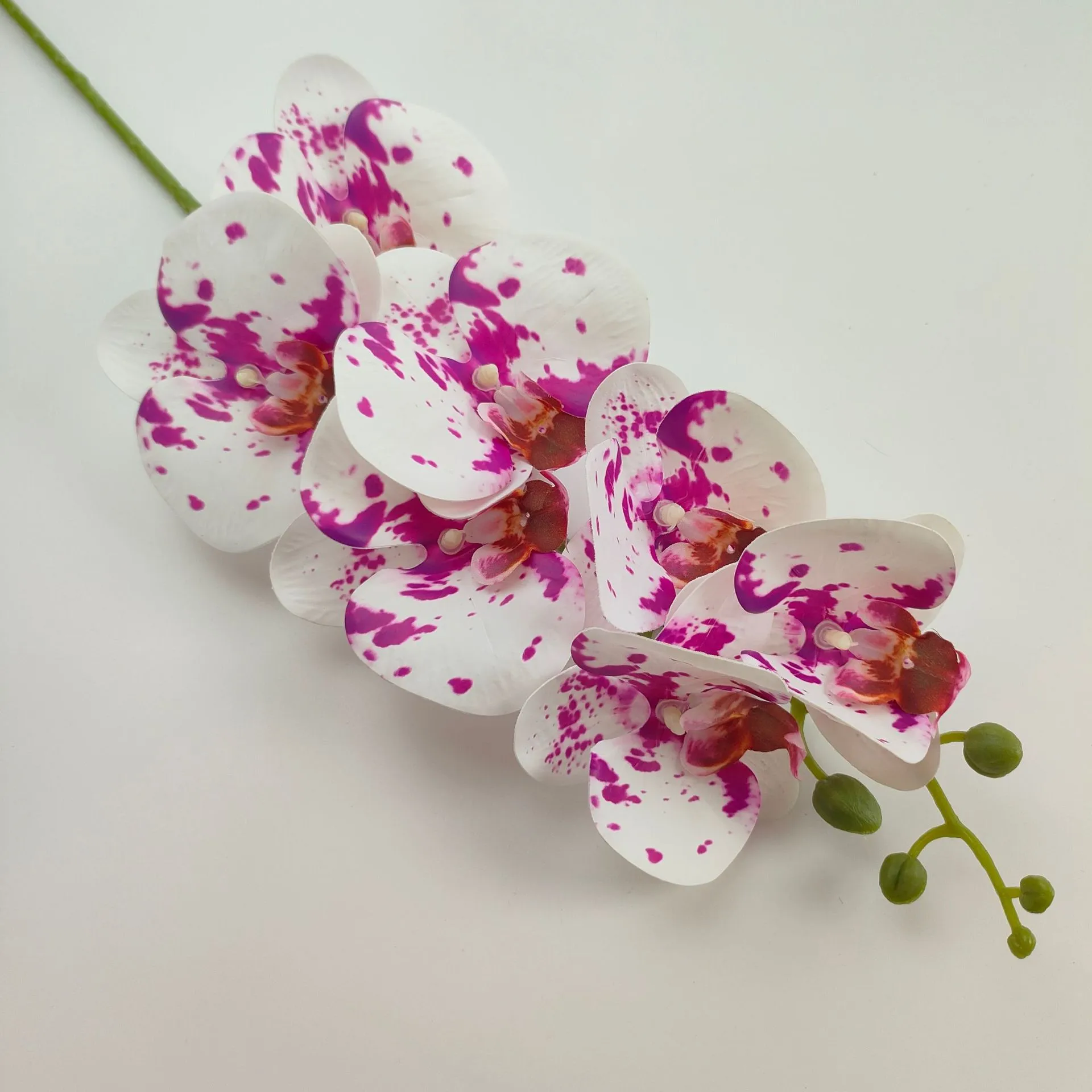 White Purple