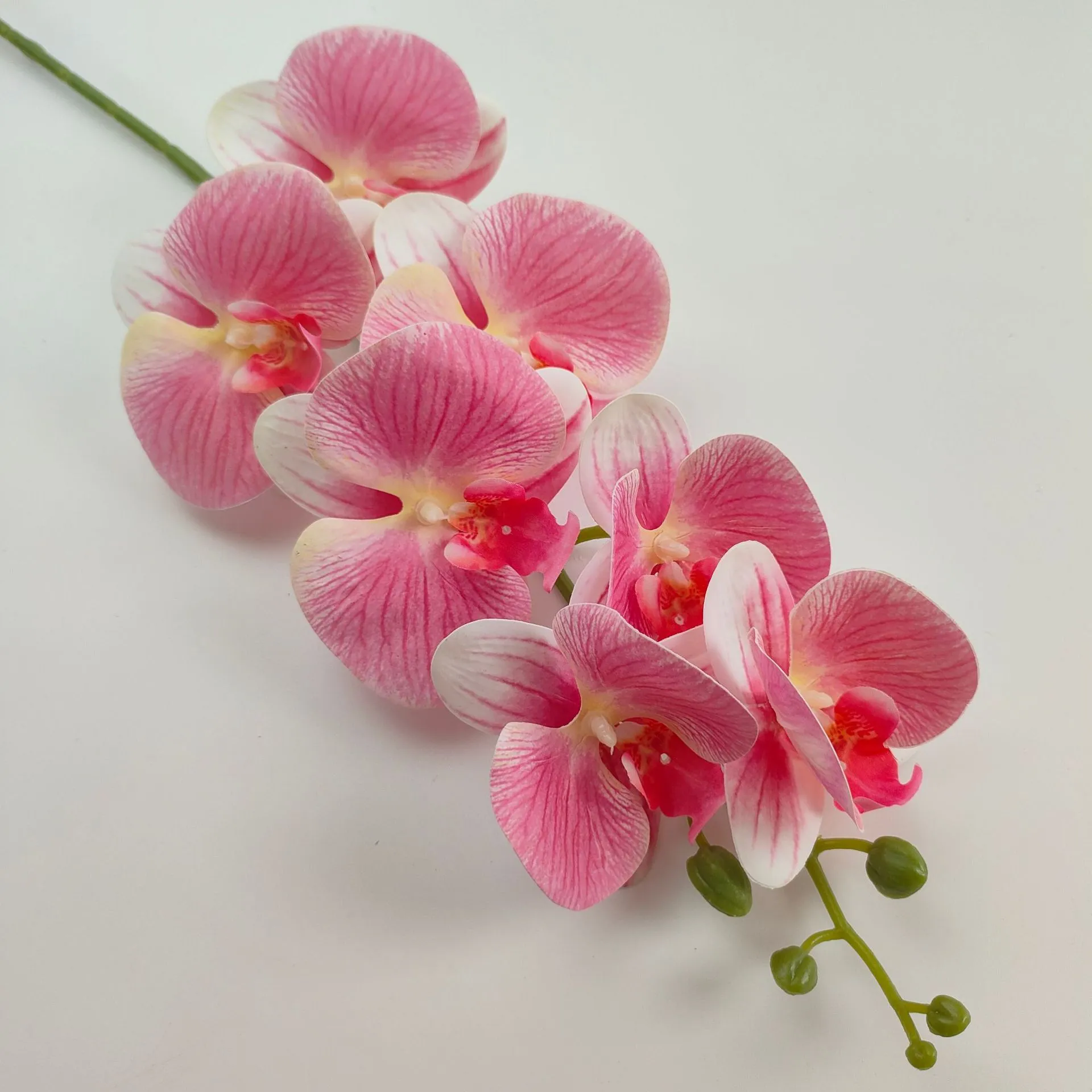 Deep Pink
