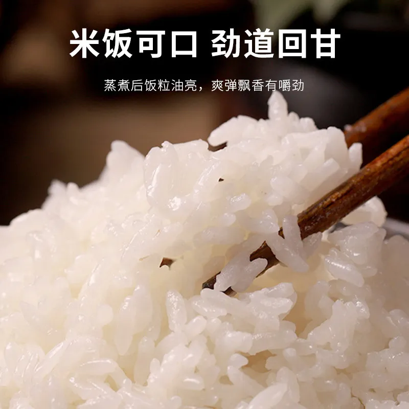 High Quality Long Grain Fragrant Rice - Farm Fresh Late Rice, Guangxi Alpine Terrace Cat Tooth Ivory Variety - Small Packing Wholesale showcase 9