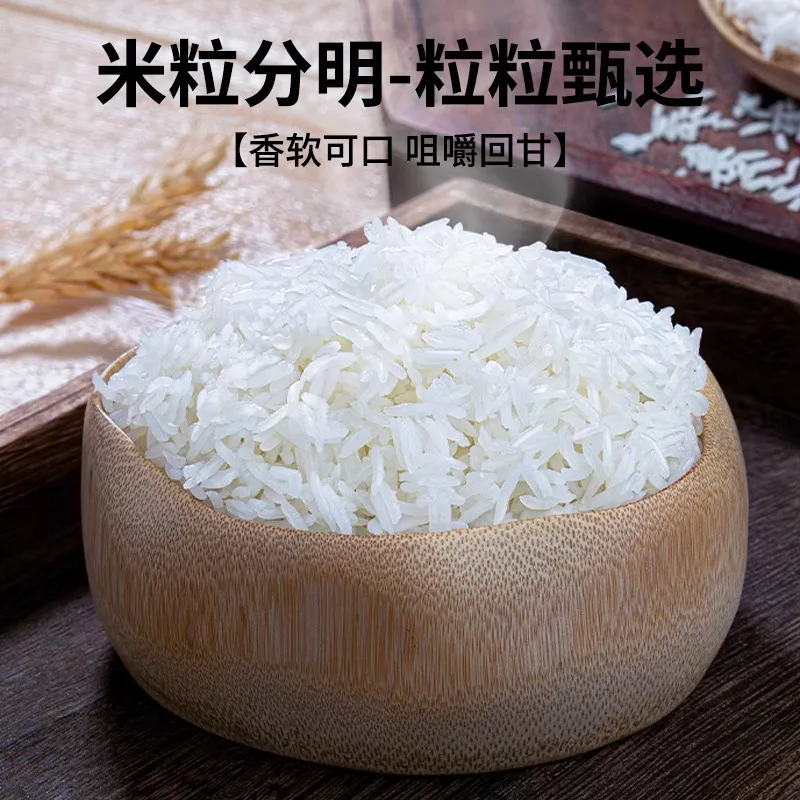 High Quality Long Grain Fragrant Rice - Farm Fresh Late Rice, Guangxi Alpine Terrace Cat Tooth Ivory Variety - Small Packing Wholesale showcase 3