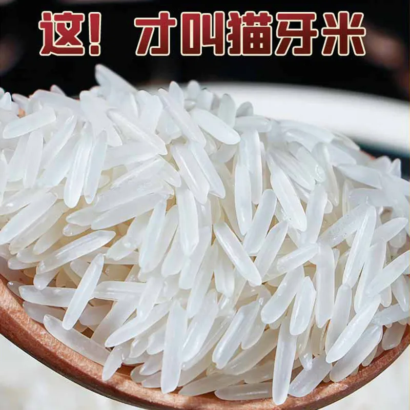High Quality Long Grain Fragrant Rice - Farm Fresh Late Rice, Guangxi Alpine Terrace Cat Tooth Ivory Variety - Small Packing Wholesale showcase 2